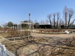 伊奈町制施行記念公園