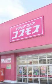 ドラッグストアコスモス　寺家店