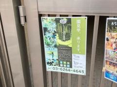 まなびの森保育園銀座