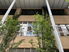 まなびの森保育園銀座