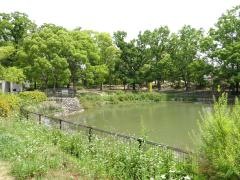 唐池公園