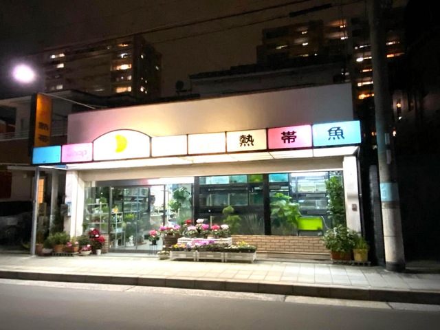投稿写真4