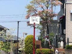 神戸屋
