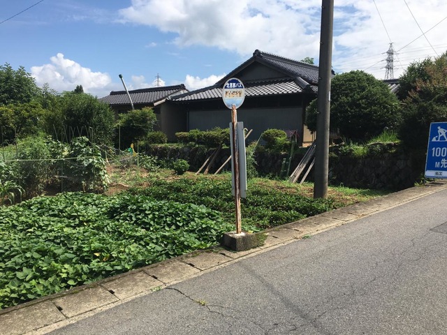 投稿写真1