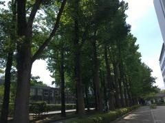 東海大学　湘南キャンパス