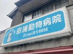 田浦動物病院