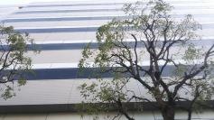 損害保険ジャパン株式会社　岡山支社