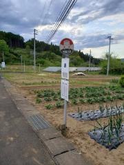 「表」バス停留所