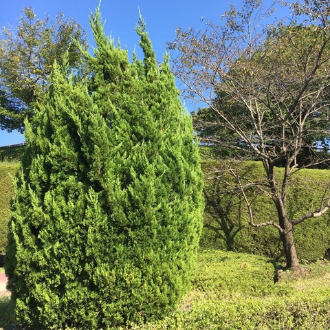 施設写真142