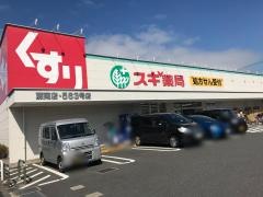 スギ薬局　蕨南店
