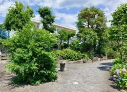 和田堀緑道
