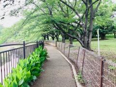 新川丸池公園