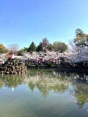 安城公園