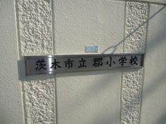 郡小学校