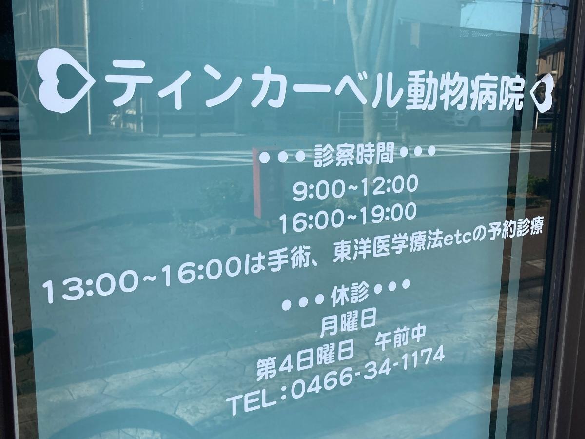 ティンカーベル動物病院