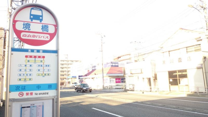 全体