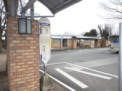 「綾瀬市役所」バス停留所