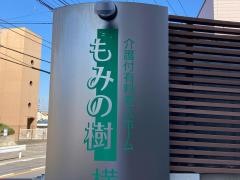もみの樹・横浜鶴見