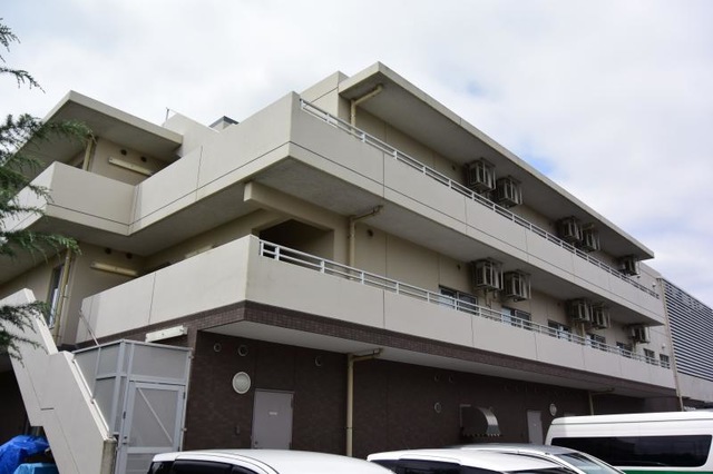もみの樹・横浜鶴見