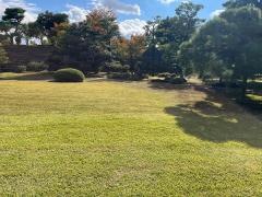 二条城　本丸庭園