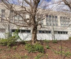 下妻市立千代川中学校