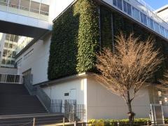 富士見小学校