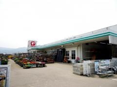 コメリハード＆グリーン　鳥屋店