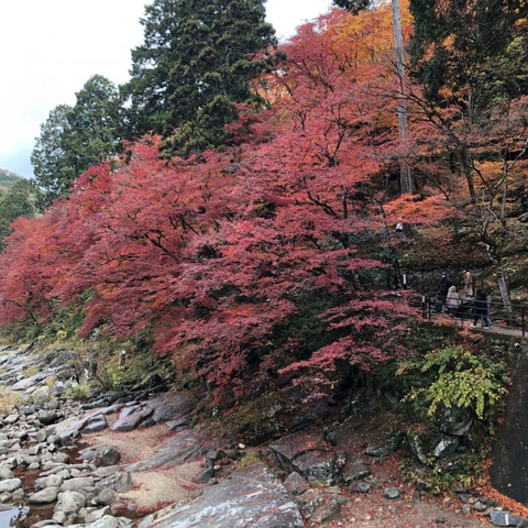 施設写真10