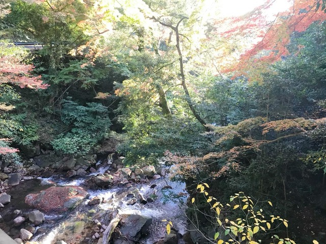 施設写真13