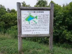 ウトナイ湖