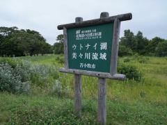 ウトナイ湖