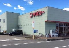 ヤオコー一本松南店