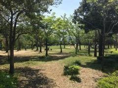 七井戸公園