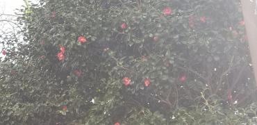 第2号御所ケ谷緑地