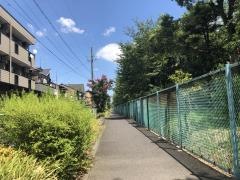 小碓緑道