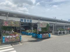 ホームプラザナフコ　加古川店