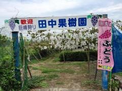 田中果樹園