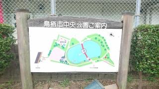中央公園
