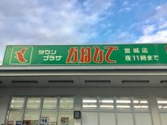 タウンプラザかねひで宮城店