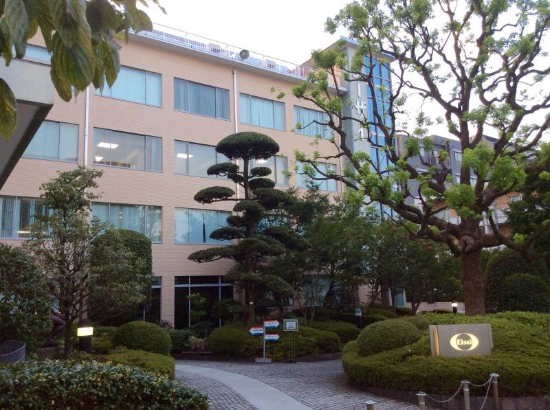 正面からの撮影になります