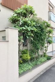 宮高医院