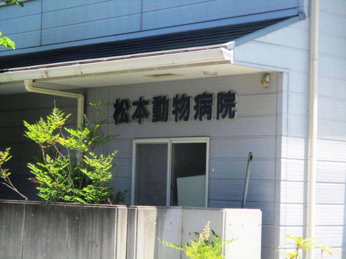 松本動物病院を紹介します。