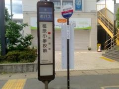 「樫原小学校前」バス停留所