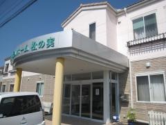 松の実