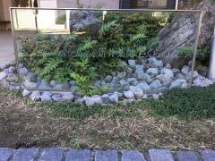 チャームスイート新井薬師　さくらの森