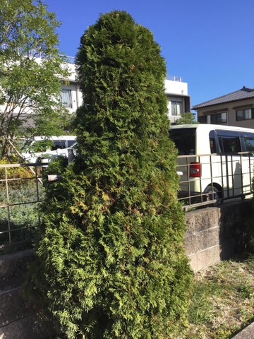 ソレイユ　ビラ大門