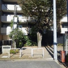 かたばみ緑地