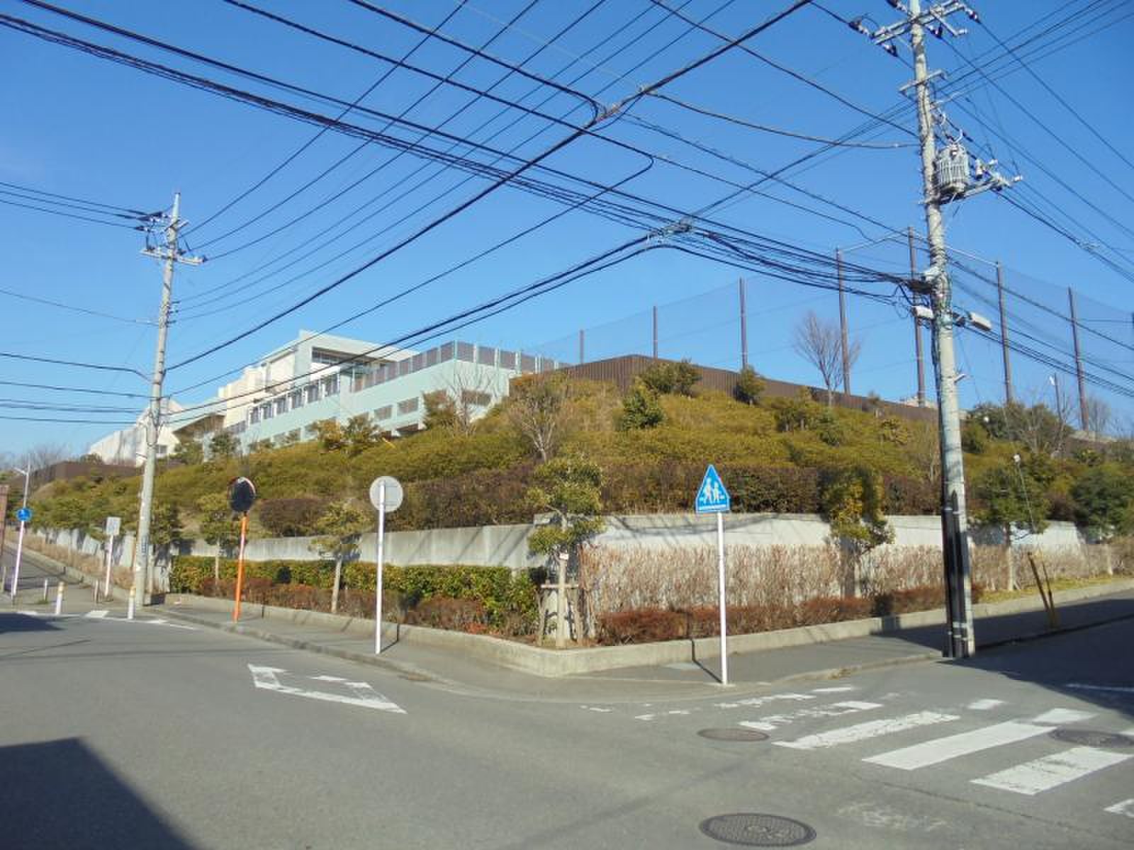 公の場での発言・インタビュー報道記録