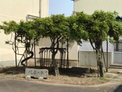 富山市立月岡中学校
