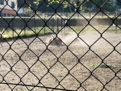 はびろ農業公園みはらしファーム